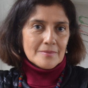 Mariela Dreyfus